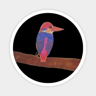 Oriental dwarf kingfisher Magnet